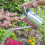 Smart Garden Durable Watering Can 4.5L, Galvanised Steel 1