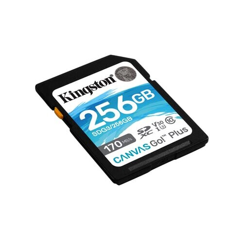 Kingston Kingston Technology Canvas Go! Plus memory card 256 GB SD UHS-I Class 10 1