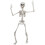 165cm Απόκριες σκελετός Poseable ζωή μέγεθος κόμμα διακόσμηση κόμμα 165cm 3