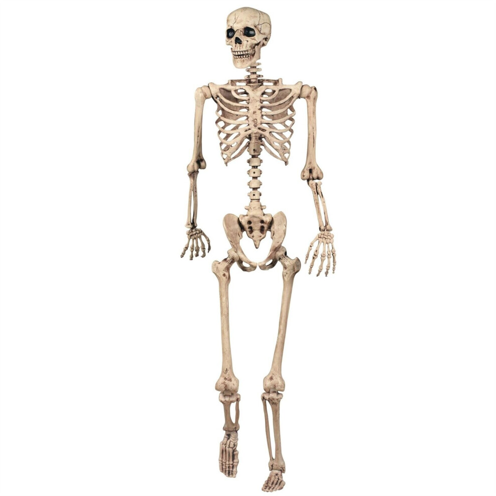 165cm Halloween Skeleton Poseable  Life Size Party Decoration