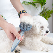 (Green) Durable Pet Comb Self Cleaning Brush Professional Grooming Brush