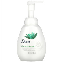 Dove, Nourishing Foaming Hand Wash, Aloe & Eucalyptus, 300ml
