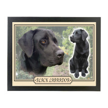 Black Labrador Dog Breed Framed Picture Gift