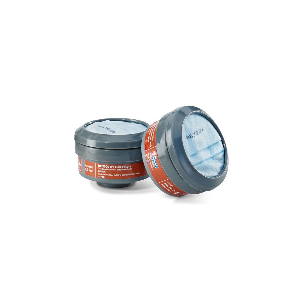Beeswift - A1p2 Filters (Pair) - 5030566066764