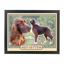Red Setter Dog Breed Framed Picture Gift