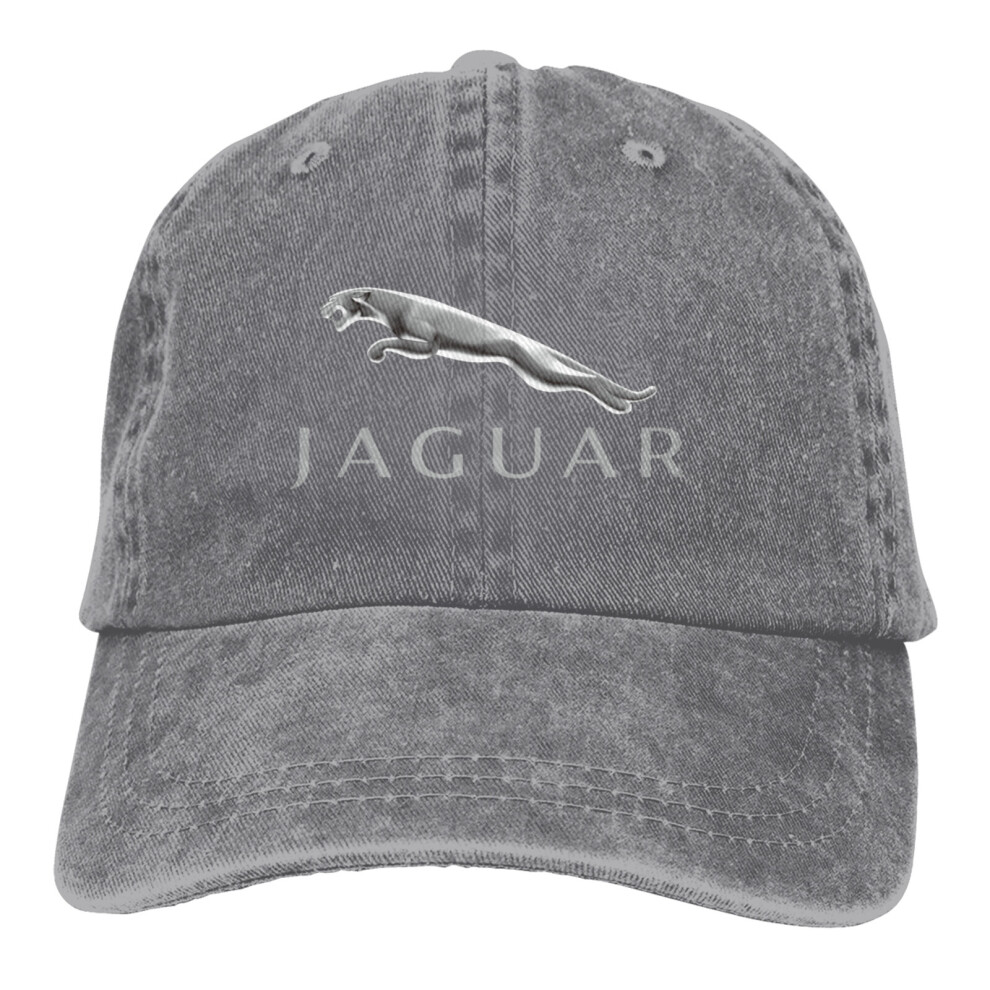 Cap Hat (Gray) Jaguar Pop Design Cotton Washed Baseball Cap Hats Grey