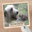 Personalised Irish Wolfhound Dog Breed Mouse Mat Gift 1