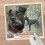 Personalised Patterdale Dog Breed Mouse Mat Gift 1