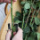 Burgon & Ball Thorn Stripper 5