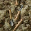 Burgon & Ball Cell Tray Trowels 4