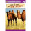 Life in the Gobi Desert 1