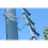 Universal Ladder Stand Off V-Shaped Down Pipe Ladder Accessory 8