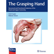The Grasping Hand Structural and Functional Anatomy of the Hand and Upper Extremity