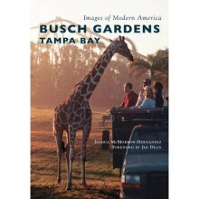 Busch Gardens Tampa Bay Images of Modern America