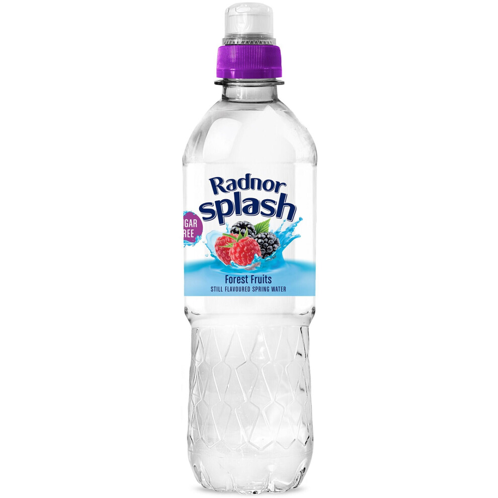 Radnor Splash Forest Fruits Flavoured Water - 24x500ml