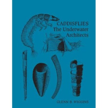 Caddisflies