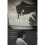 Afterlives of Affect 1