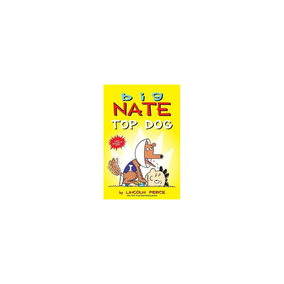 Big Nate: Top Dog