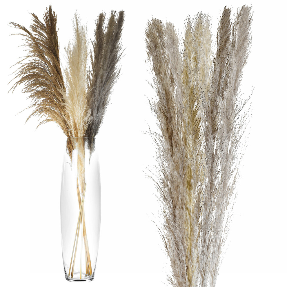 Urbn Living 9X Natural Dried Pampas Grass Arrangement Reed Flower Tall Bouquet Vase Decor