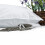 Homescapes Homescapes Goose Feather & Down Lavender Pillow with Dried Lavender Insert 6