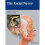 The Facial Nerve 1