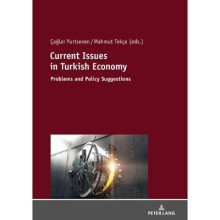 Current Issues in Turkish Economics Problems and Policy Suggestions