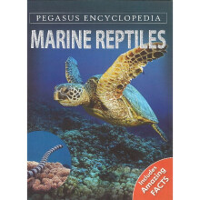Marine Reptiles