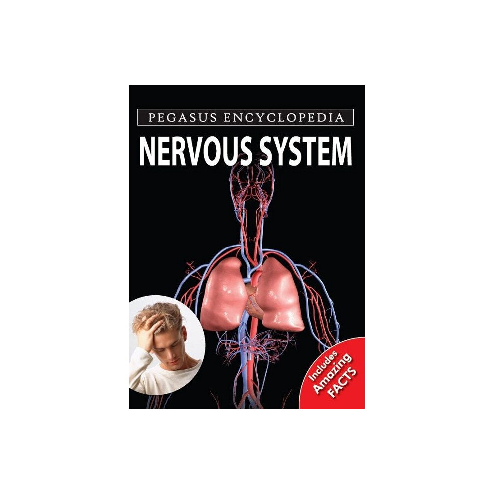 Nervous System