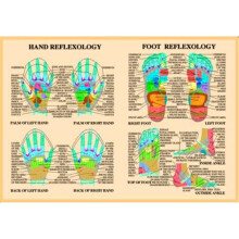 Hand & Foot Reflexology -- A2