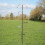 Kingfisher Kingfisher Bird Feeding Station 2