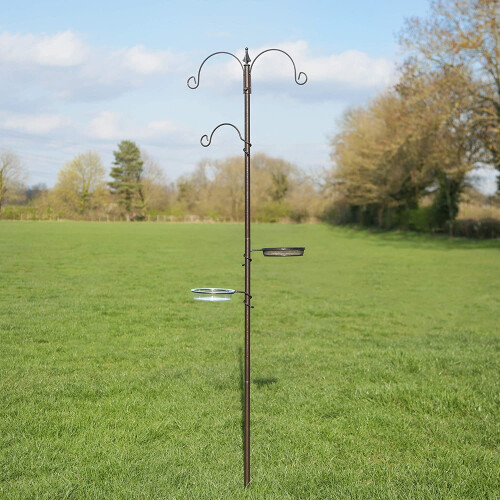 Kingfisher Kingfisher Bird Feeding Station 1