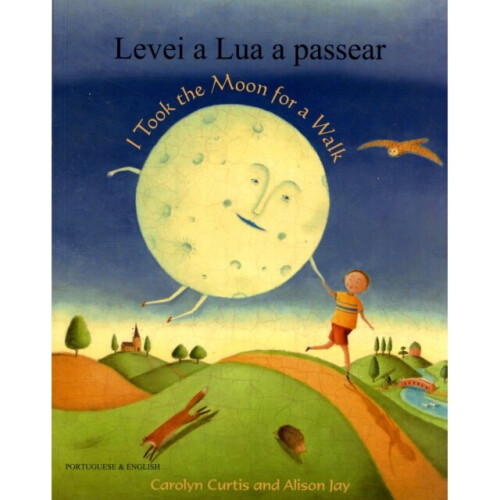 I Took the Moon for a Walk - Alison Jay - book