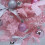 Artificial Pink Christmas Tree with LED Lights Decoration, Best 8