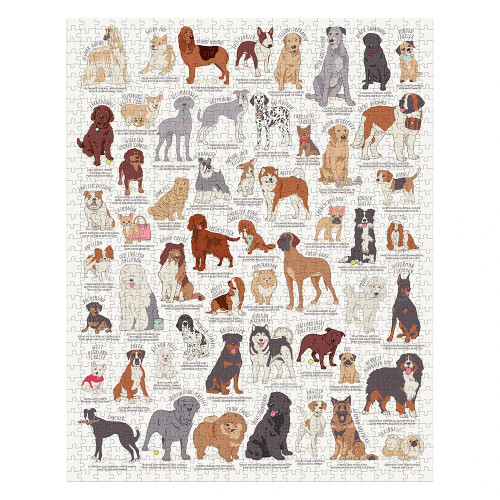 Quebra-cabeça de animais - Ridley's Games - Cat Lovers - 1000 peças - Branco 2