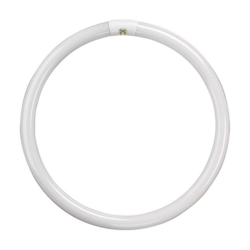 Crompton Lamps Fluorescent T9 Circular 22W 4-Pin Cool White FC22W/840