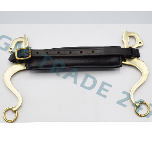 (Gold) Horse Dragon Style Hackamore Shanks with Leather 1