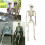 Poseable Skeleton Prop Halloween Party Decoration 5