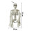 Poseable Skeleton Prop Halloween Party Decoration 3