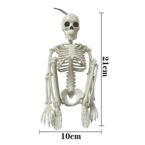 Poseable Skeleton Prop Halloween Party Decoration 2