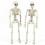 Poseable Skeleton Prop Halloween Party Decoration 10