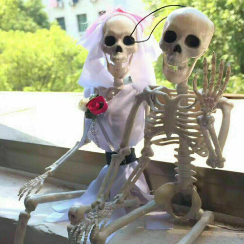 Poseable Skeleton Prop Halloween Party Decoration 1