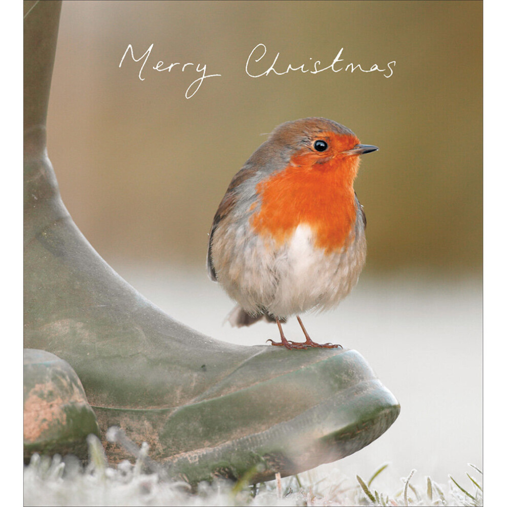 Pack of 5 Winter Morning Charity Christmas Cards Supporting Multiple Charities