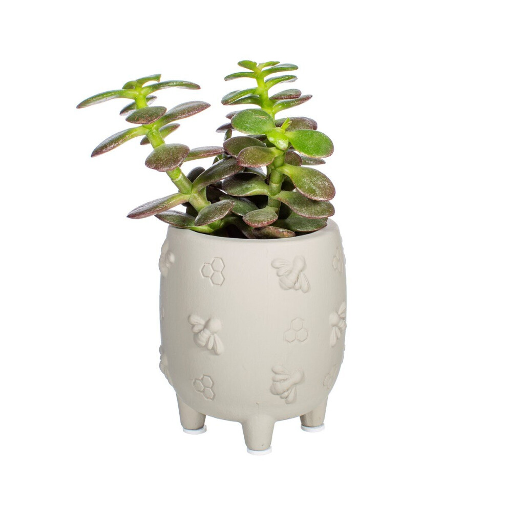 Sass & Belle Mini Legged Cement Planter Grey Bees Home Plant Pot