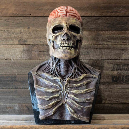 (RedlMask, Onesize) Halloween props skull horror mask silicone full headpiece