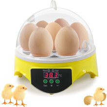 Mini 7 Egg Incubator Digital Chicken Hatcher w/ Automatic Temperature Control