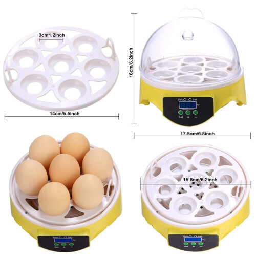 Mini 7 Egg Incubator Digital Chicken Hatcher w/ Automatic Temperature Control 2