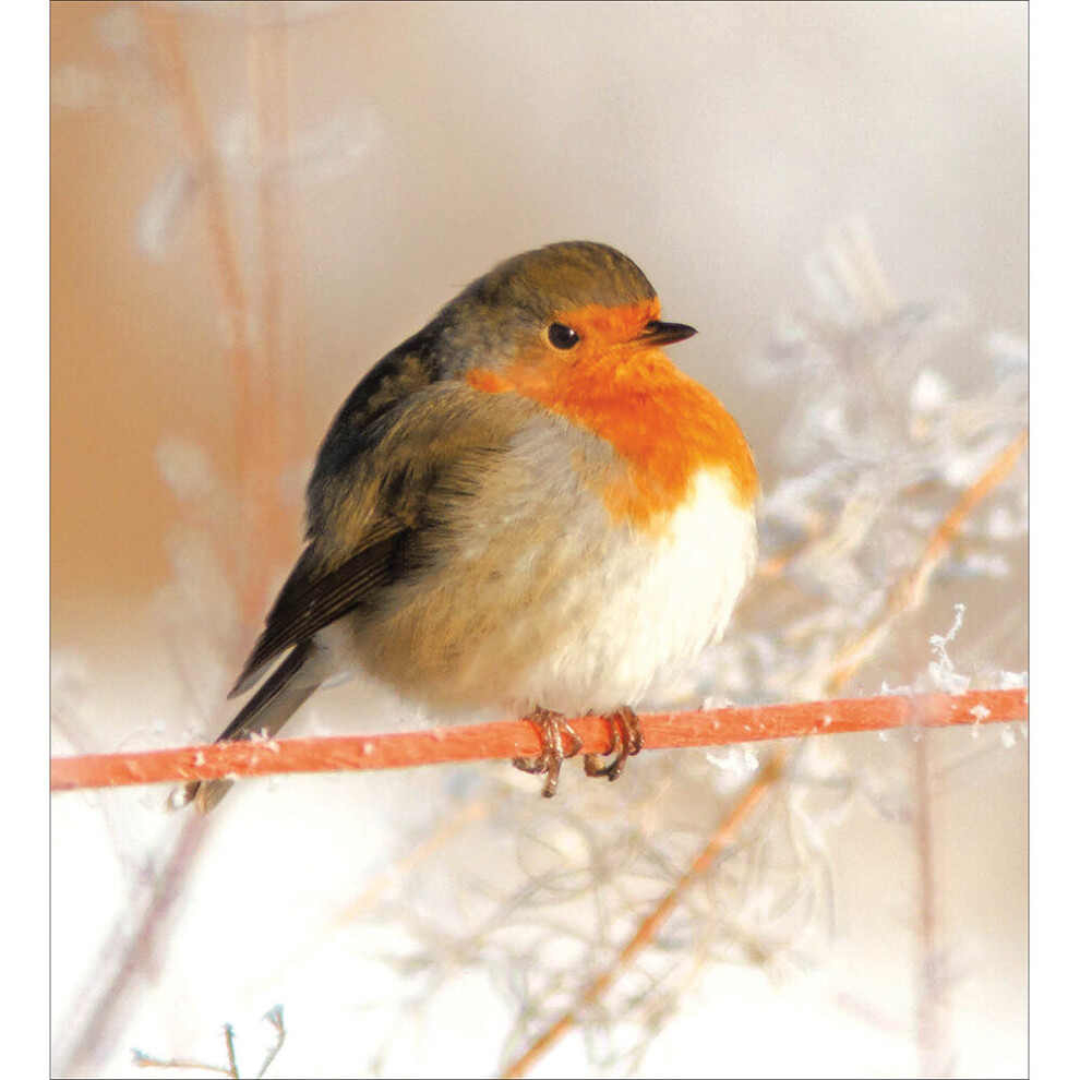 Woodmansterne Pack Of 5 Xmas Visitor Charity Christmas Cards Supporting Multiple Charities