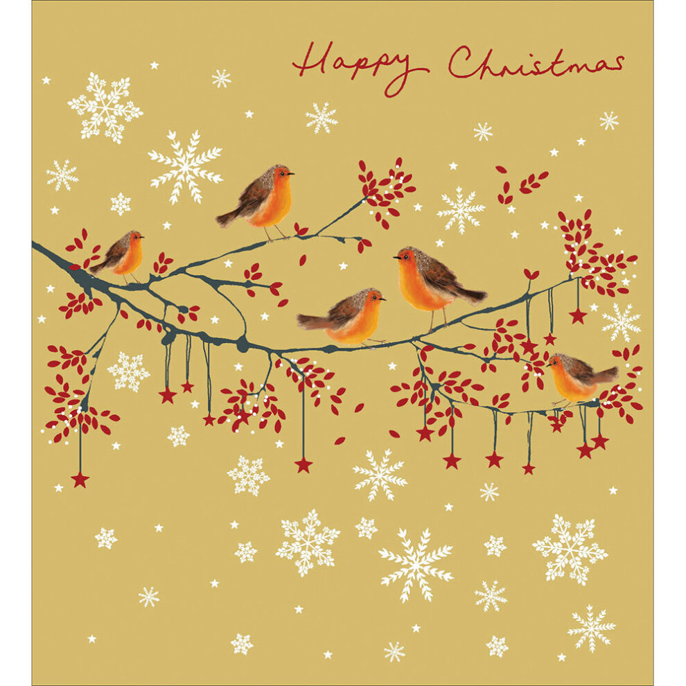 Pack of 5 Xmas Robin Charity Christmas Cards Supporting Multiple Charities