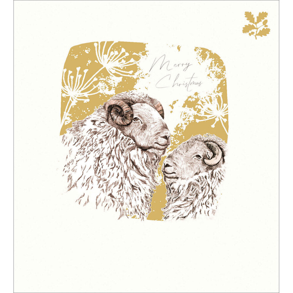 Woodmansterne Pack Of 5 National Trust Xmas Rams Charity Christmas Cards