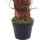 Living And Home 90CM Realistic Artificial Palm Tree with Pot 5